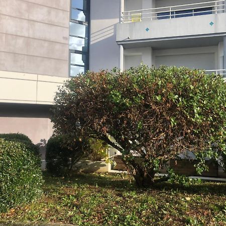 Le Carre Des Vosges Vannes Centre Avec Terrasse, Parking Privatif, Wifi Exterior foto